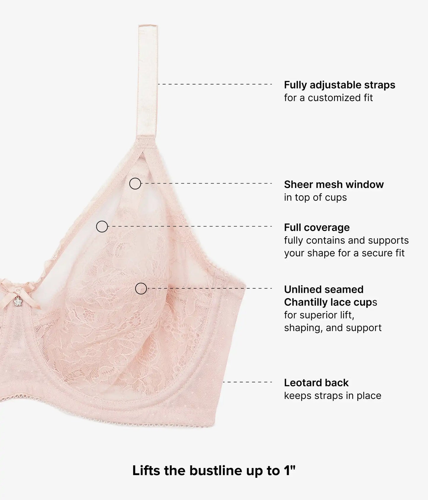 Retro Chic Full Figure Underwire Bra: Rose Dust