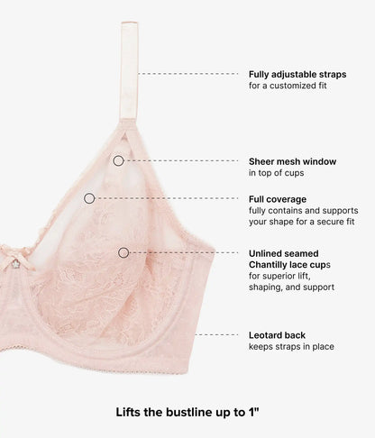 Retro Chic Full Figure Underwire Bra: Rose Dust
